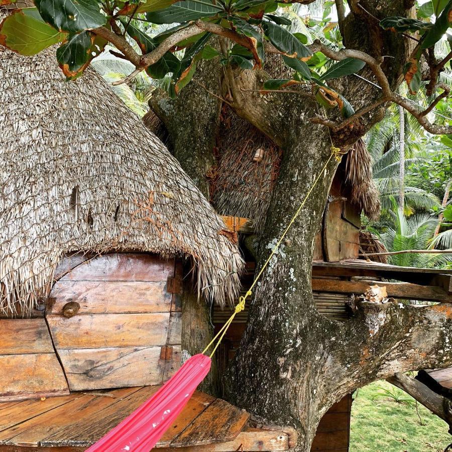 Ensuenos Natural Reserve Little Corn Island Nicaragua Zewnętrze zdjęcie